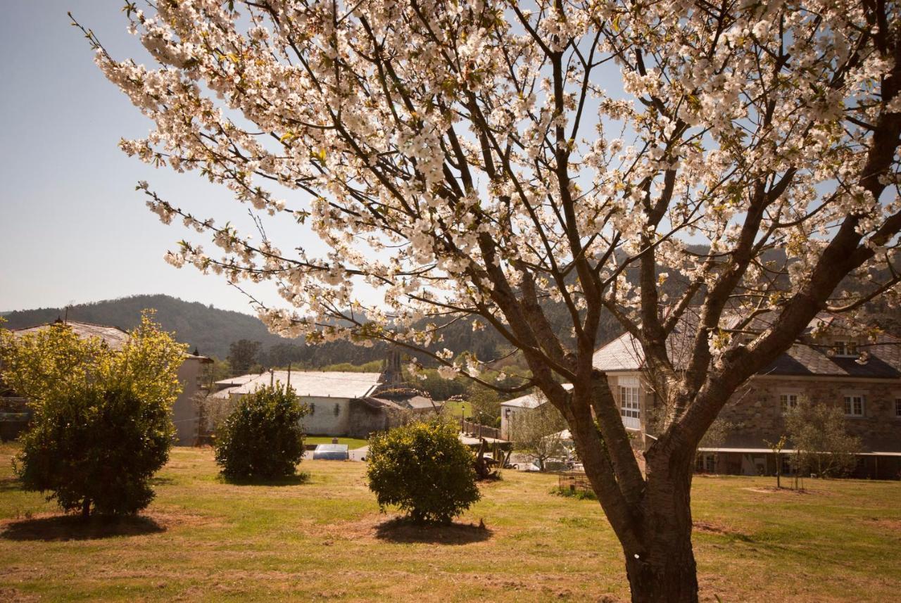 As Vinas Hotel Viveiro Buitenkant foto